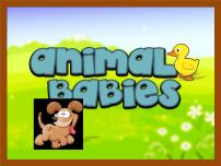 中小学英语 baby animals 游戏课件+素材