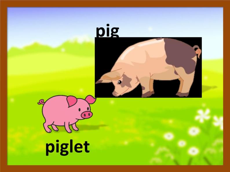 中小学英语 baby animals 游戏课件+素材08