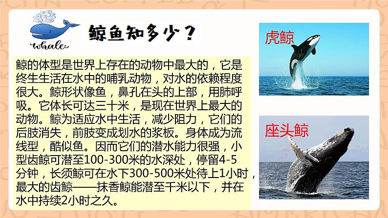 【公开课】人教新目标版八下Unit 7《What's the highest mountain in the world?》SectionB 3a-Selfcheck写作优质课件+视频08