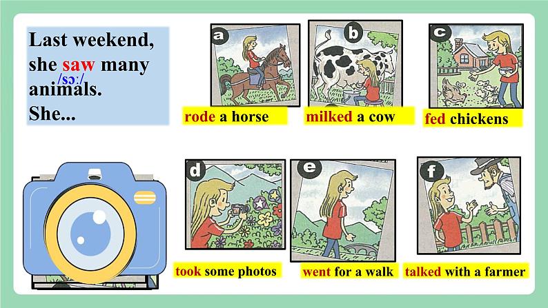 人教新目标版英语七下 Unit 11 《How was your school trip?》 SectionA (1a-2c ) 课件第8页