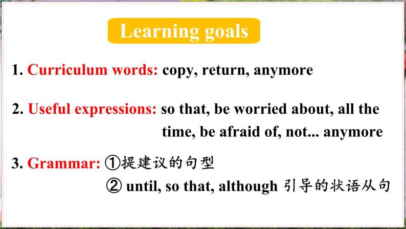 Unit 4 第3课时（A Grammar Focus-4c） 8年级人教英语下册{课件]02