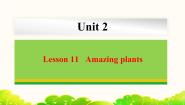 初中冀教版Lesson 11 Amazing Plants课文内容ppt课件