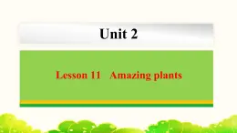 Unit 2 Lesson 11 Amazing plants  课件冀教版英语八年级下册