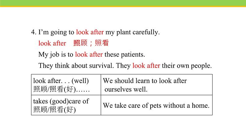 Unit 2 Lesson 12 Danny’s plant 课件 冀教版英语八年级下册08