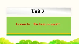 Unit 3 Lesson 16 The bear escaped !  课件 冀教版英语八年级下册