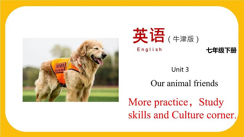 3.5 More practice【课件】牛津版本 初中英语七年级下册Unit 3 Our animal friends01