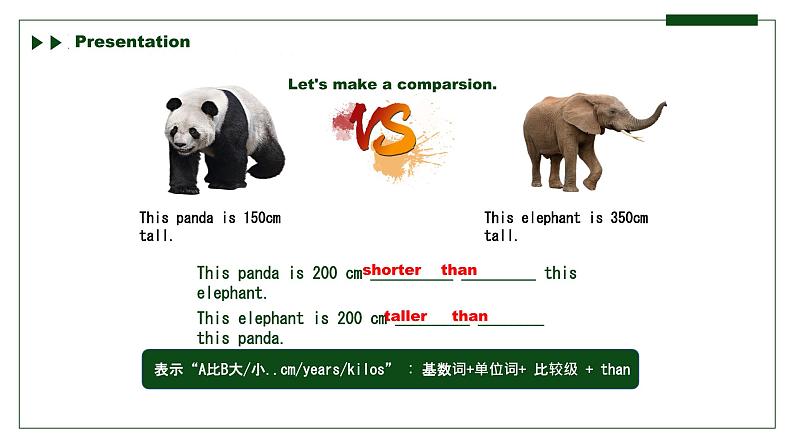 【核心素养目标】人教版初中英语八年级下册 Unit7 What's the highest mountain in the world Section B 1a-1d教案+课件05