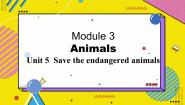 初中英语沪教牛津版(六三制)八年级下册Unit 5 Save the endangered animals背景图课件ppt
