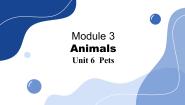 沪教牛津版(六三制)八年级下册Unit 6 Pets评课课件ppt