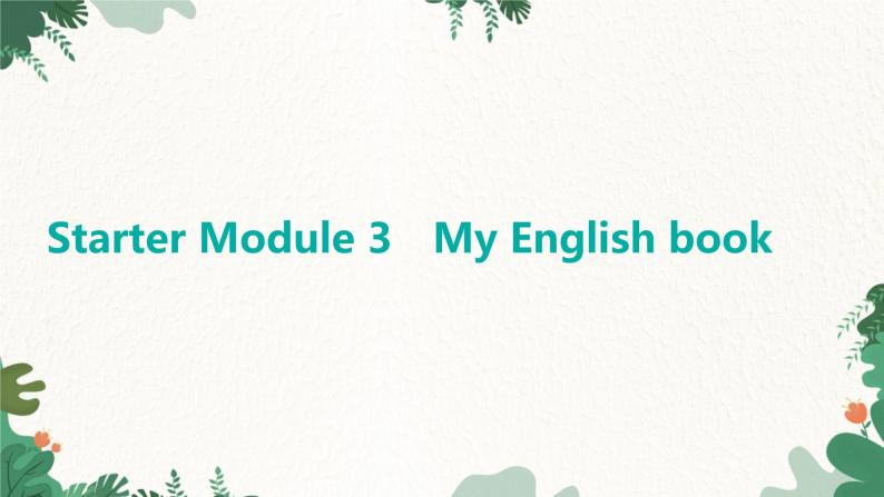 外研版英语七年级上册 Starter Module 3MyEnglish book课件01
