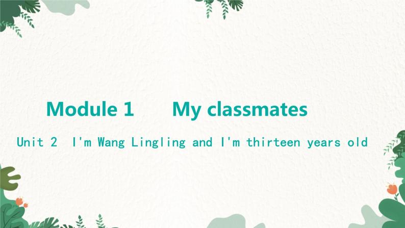 外研版英语七年级上册 Module 1 My classmatesUnit 2 I'm Wang Lingling and I'm thirteen years old课件01