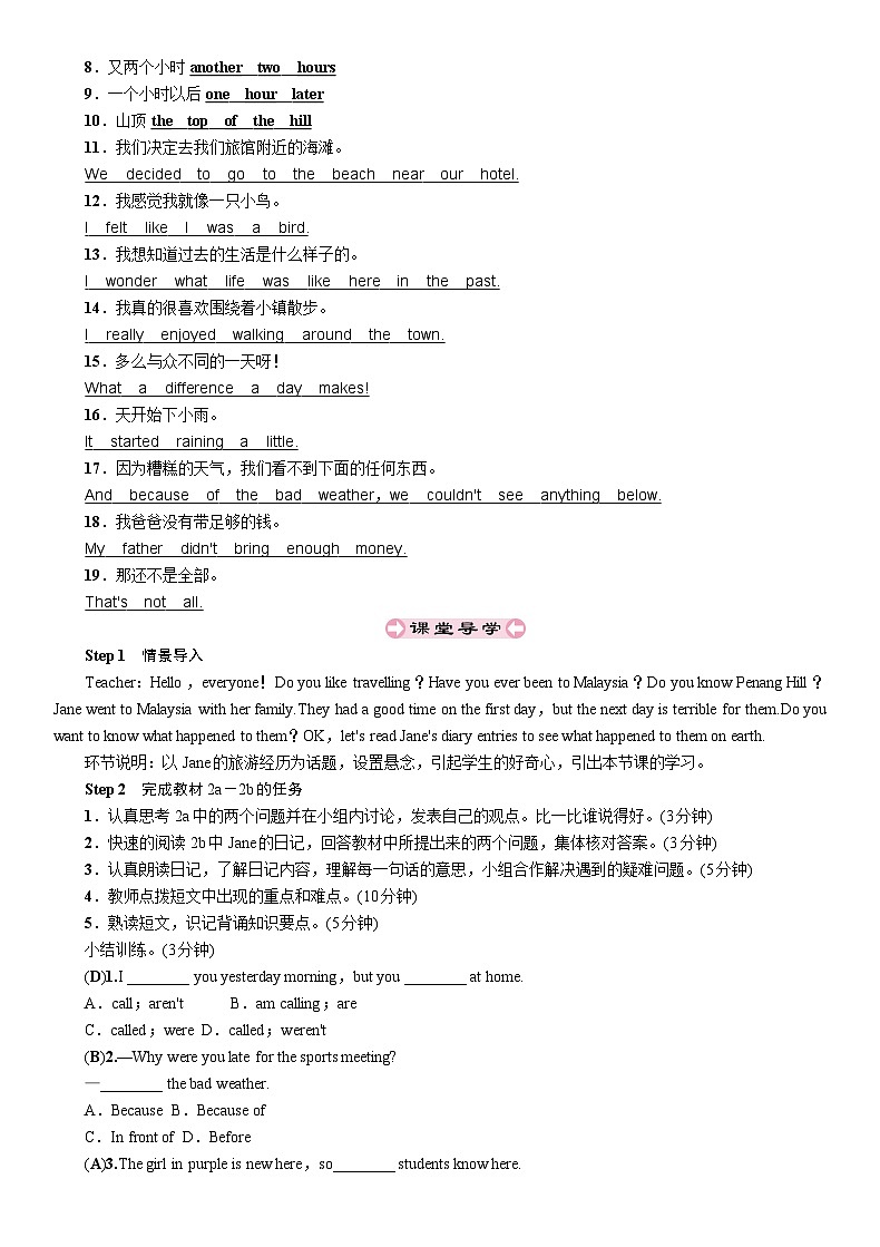 人教新目标(Go for it)版八年级上册Unit 1 Where did you go on vacation-Section B(2a-2e)教案第2页