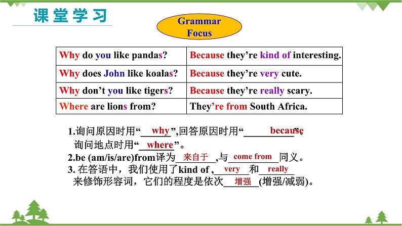 人教新目标版英语七年级下册 Unit 5 Why do you like pandas-Section A Grammar Focus-3c(第2课时)课件08