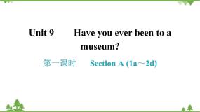 人教新目标(Go for it)版英语八年级下册Unit 9习题课件