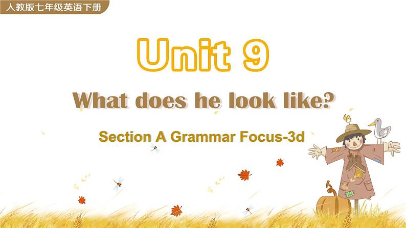 Unit 9 Section A Grammar Focus-3d第1页