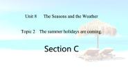 仁爱科普版七年级下册Topic 2 The summer holidays are coming.优质ppt课件