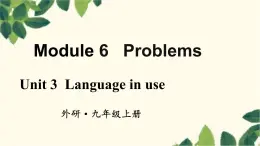 外研版英语九年级上册Module 6 Unit 3课件