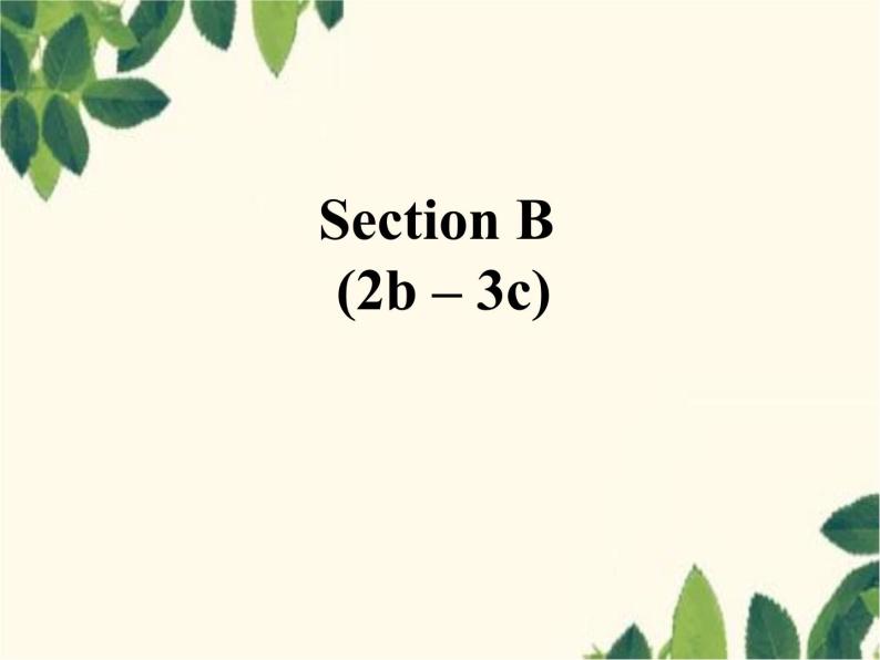 人教新目标版英语七年级上册Unit 5 Do you have a soccer ball-Section B(2b – 3b)课件02