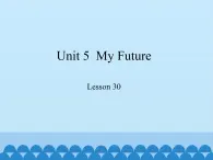 冀教版（三起）英语八年级上册 Unit 5  My Future Lesson 30_1 课件