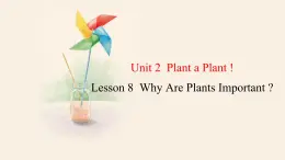 Unit 2 Lesson 8 Why Are Plants Important  课件 2023-2024学年冀教版英语八年级下册