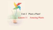 初中英语冀教版八年级下册Lesson 11 Amazing Plants教课内容课件ppt