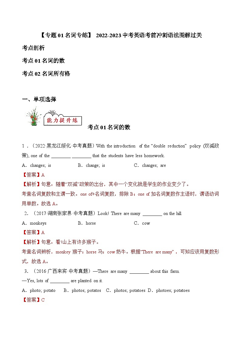 专题01 名词【练习】2022-2023年中考英语考前冲刺语法图解过关(解析版)第1页