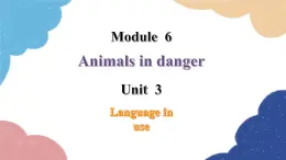 外研版英语八年级上册Module 6 Unit 3 Language in use课件