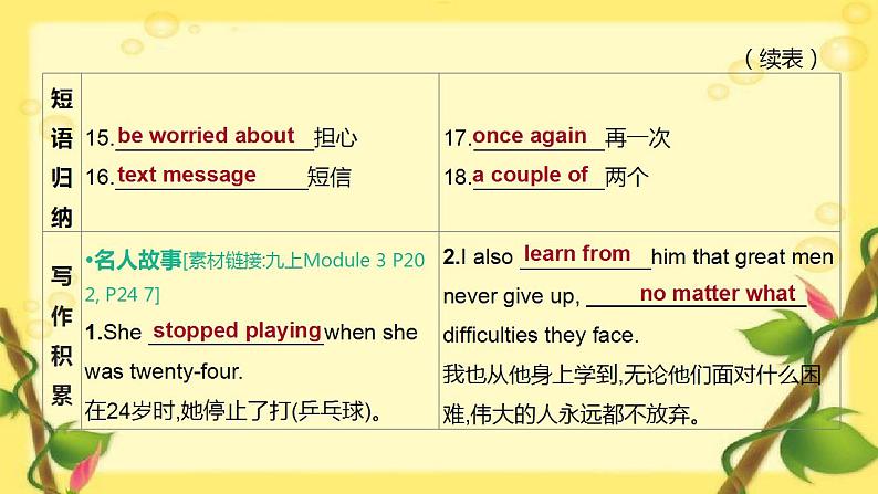 中考英语一轮复习课件(外研版九年级上册)Modules 3—4第5页