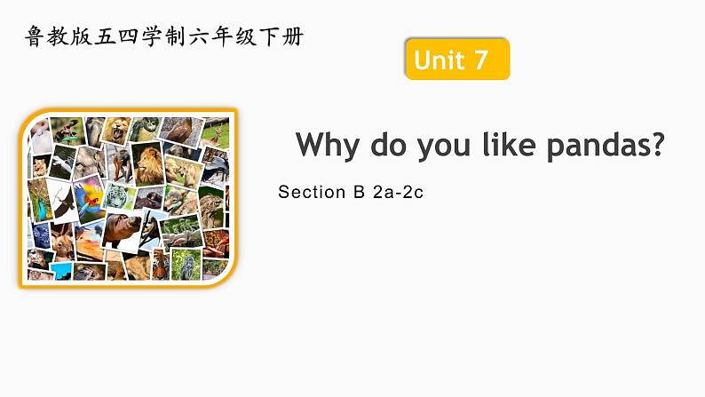 Unit 7 Why do you like pandas?Section B 2a-2c 课件01