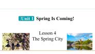 冀教版八年级下册Lesson 4 The Spring City备课课件ppt