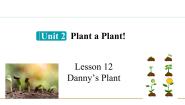 冀教版八年级下册Lesson 12 Danny's Plant教学课件ppt