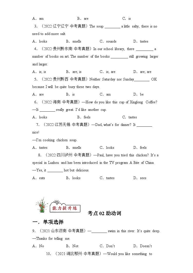 专题03 动词和动词短语【练习】-2023年中考英语考前冲刺语法图解过关(原卷版)第2页