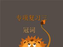 2024年人教版中考英语专项复习之冠词课件