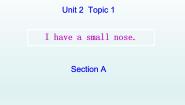 仁爱科普版七年级上册Topic 1 I have a small nose示范课ppt课件