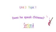 仁爱科普版七年级上册Topic 1 Does he speak Chinese?图文ppt课件
