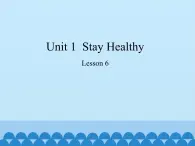 冀教版英语九年级全一册 Unit 1  Stay Healthy Lesson 6_ 课件