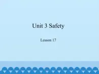 冀教版英语九年级全一册 Unit 3  Safety Lesson 17_(3) 课件