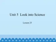 冀教版英语九年级全一册 Unit 5  Look into Science Lesson 25_ 课件