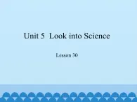 冀教版英语九年级全一册 Unit 5  Look into Science Lesson 30_ 课件