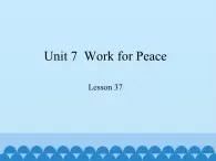 冀教版英语九年级全一册 Unit 7  Work for Peace Lesson 37 _ 课件