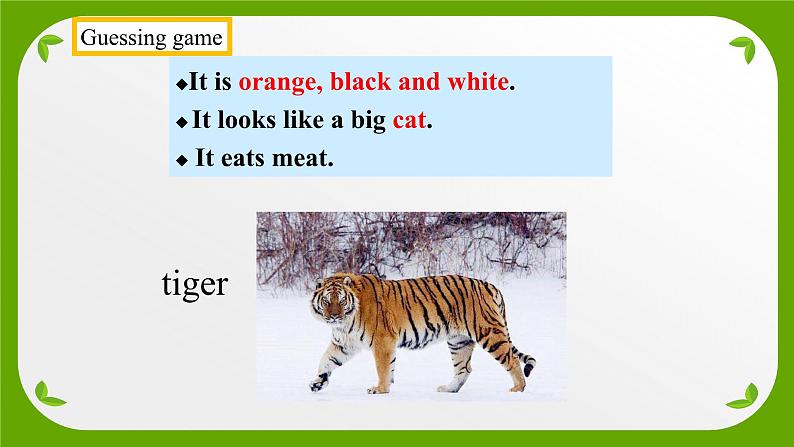 外研版英语七年级上册 Module 6 Unit 2 The tiger lives in Asi课件第4页
