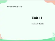 人教新目标版英语七年级下册 Unit 11 How was your school trip？Section A (3a-3b)课件