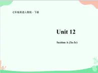 人教新目标版英语七年级下册 Unit 12 What did you do last weekend？Section A (3a-3c)课件