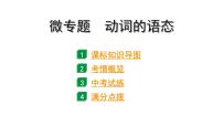 2024海南中考英语二轮复习 微专题 动词的语态（课件）