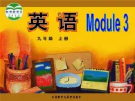 【公開賽課】外研初中英語(yǔ)九上課件 Module 3 Unit 3 Language in use