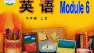 初中英语外研版 (新标准)九年级上册Module 6 ProblemsUnit 3 Language in use课文配套课件ppt