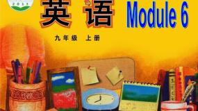 初中英语外研版 (新标准)九年级上册Module 6 ProblemsUnit 3 Language in use课文配套课件ppt