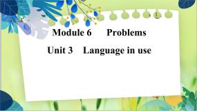 外研版 (新标准)九年级上册Module 6 ProblemsUnit 3 Language in use教学ppt课件