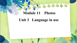 外研版英语九年级上册 M11 Unit 3 Language in use PPT课件+教案