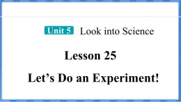 Lesson 25  Let’s Do an Experiment!（课件） 2024-2025学年冀教版英语九年级上册